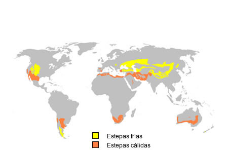 Las estepas boreales ocupan en Eurasia, desde Ucrania y Asia Menor hasta Mongolia.